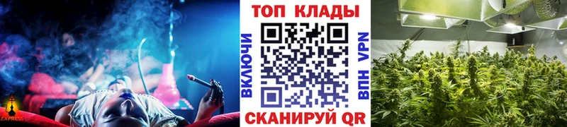 Виды наркотиков купить Любань А ПВП  Бошки Шишки  Меф  Галлюциногенные грибы  Cocaine  Гашиш 
