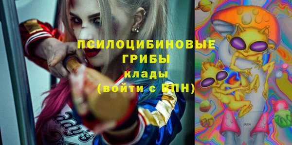 тгк Кулебаки