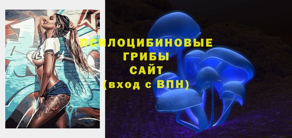 дмт Армянск